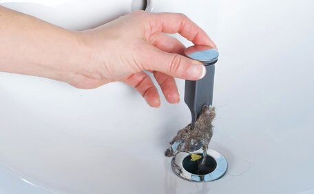Fast Ways Unblock Clogged Drain